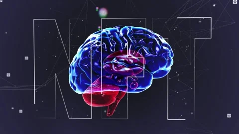 On load stylized 3D brain rotating, pulsing while outlines aligning, forming Stock Footage 334338061