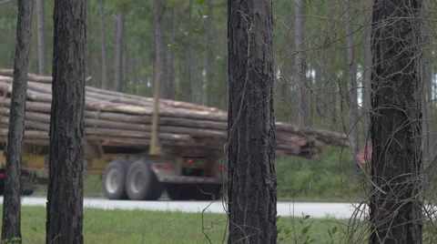 Loaded log truck passing 4k Stock Footage 42052260