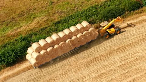 Loaded trailer with round hay bales crossing harvested farmland. Tractor Stock Footage 342501548