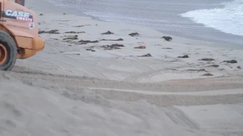Loader on beach Stock Footage 46463433