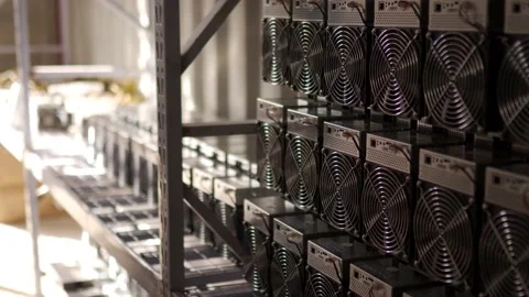 Loader brings in bitcoin ASIC miners to steel shipping container warehouse Video stock 158938481