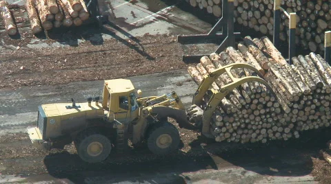 Loader lifting logs Stock Footage 812949