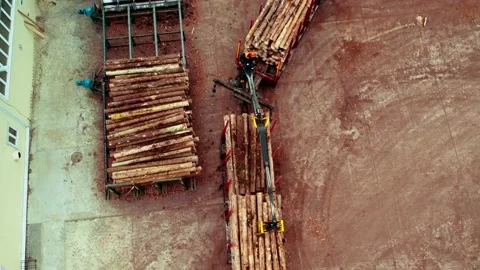 Loader loads logs in production. View from the top of the work of a loader that Stock-Footage 217673470
