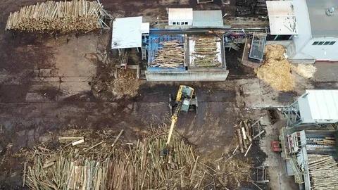 A loader loads logs at a wood processing factory from above from a drone Stock Footage 126081535