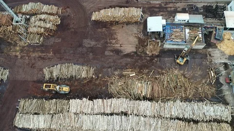 A loader loads logs at a wood processing factory from above from a drone Stock Footage 126082141