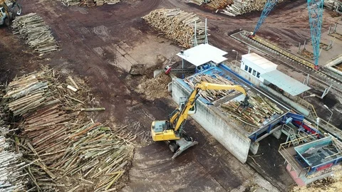 A loader loads logs at a wood processing factory from above from a drone Stock Footage 126082870