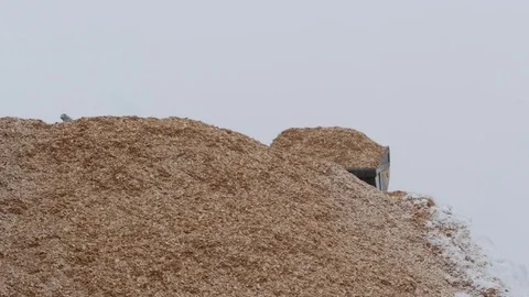 Loader moving chips from pile at paper mill Stock-Footage 71114838