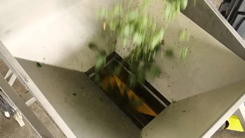 Loader pours out grapes at the winery Stock Footage 169135970