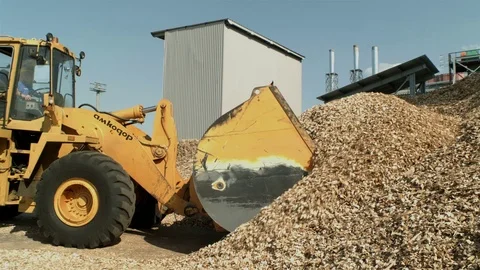 Loader removing sawdust after bandsaw Stock Footage 71165154