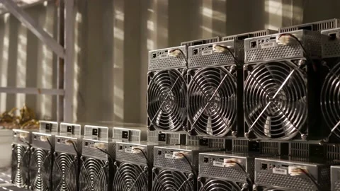 Loader takes away bitcoin ASIC miner from shipping container warehouse. Mover Video stock 156550047