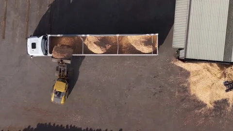 Loader Tractor Loading Wood Chips Into Trailer Truck At Sawmill Factory Video stock 269911365