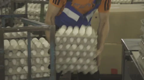 Loader transfers eggs in a paper box on a conveyor line Stock Footage 64267232