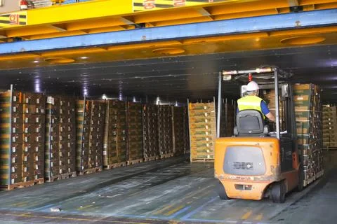 Loader transports boxes of pineapples from the ship's hold on pallets Stock Photos