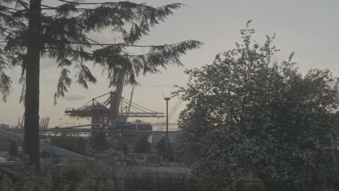 Loader working in front of large port crane Video stock 199349649