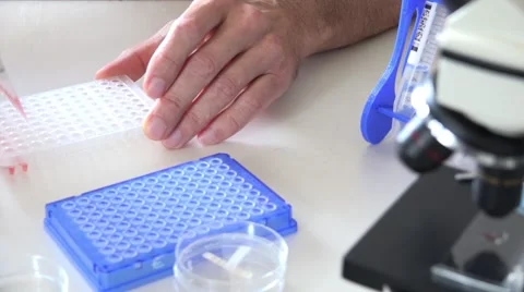 Loading 96 well plate for dna sequence analysis by pcr Stock Footage