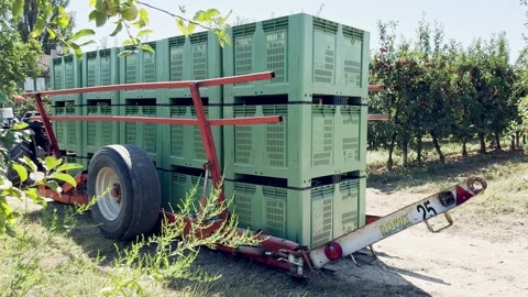 Loading agricultural machine attached to tractor for transporting palox Video stock 306622328