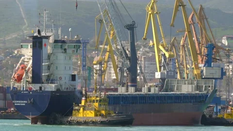 Loading and shipment of cargo at the port. View of the sea cargo port Stock Footage 166861086