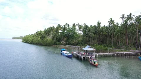Loading and unloading activities at the small pier in Lutur Village, Aru Islands Stock Footage 238430594