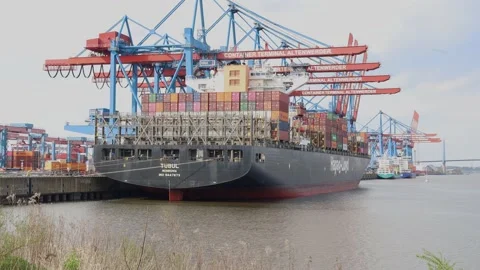 Loading and unloading containers at the Hamburg harbour area Stock Footage 239329183