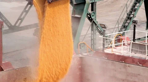 Loading and unloading at seaport 1 Vidéo 61394669