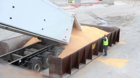 Loading and unloading at seaport 10 動画素材 61396317