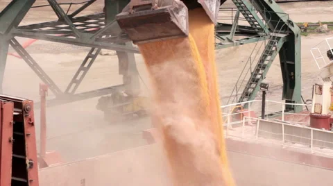 Loading and unloading at seaport 2 Video stock 61394828