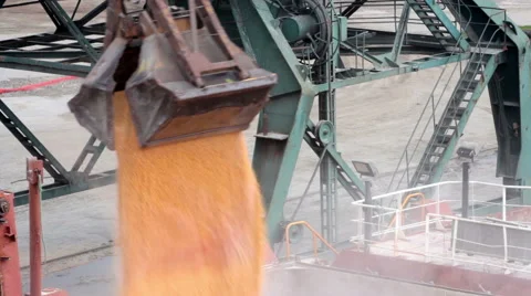 Loading and unloading at seaport 4 Stock Footage 61394956