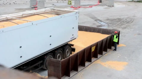 Loading and unloading at seaport 7 動画素材 61395758