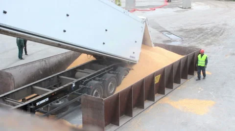 Loading and unloading at seaport 9 動画素材 61396238