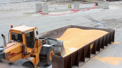 Loading and unloading at seaport 動画素材 61396371