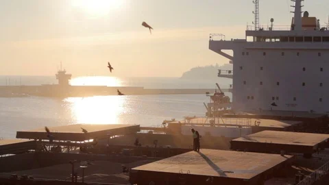 Loading and unloading at seaport Stock-Footage 71459930