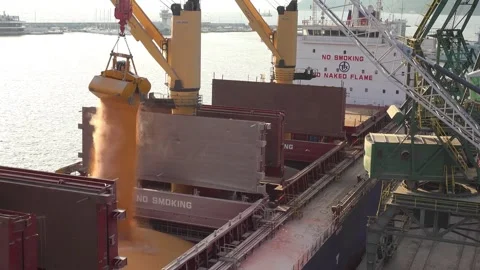 Loading and unloading at seaport, up view Stockbeeldmateriaal 252646034