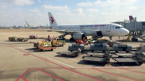 Loading baggage from pallet trucks onto airplane Vídeo Stock 332548705