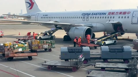 Loading baggage from pallet trucks onto airplane Vidéo 332548732