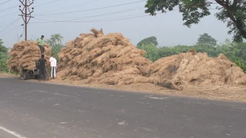 Loading bails of hay to the motorized van stacked at the road side 库存影片 290481272