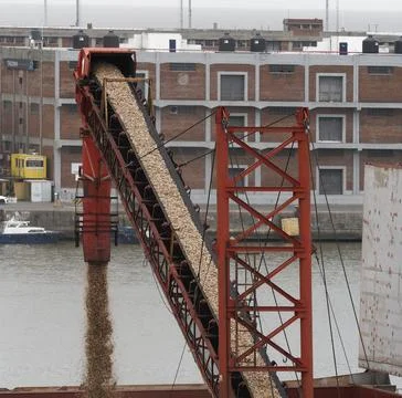 Loading bulk cargo into the hold of a bulk carrier in the port Foto stock