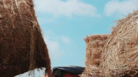 Loading bundles of hay into a car. Hay Tractor Stacking Hay Bales Vídeos de archivo 132797156