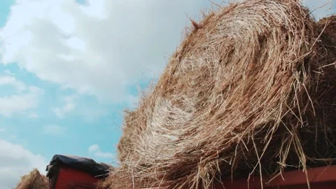 Loading bundles of hay into a car. Hay Tractor Stacking Hay Bales Vídeos de archivo 132797211