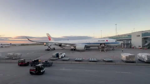 Loading cargo onto an Air China plane at Stockholm Airport, Sweden. Stock Footage 328840742