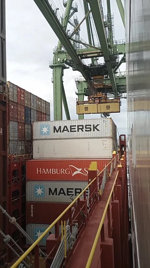 Loading cargo container Stock Footage 233017764