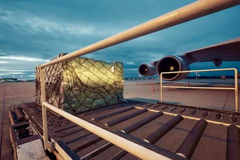 Loading of cargo to the freight aircraft. Stock Photos