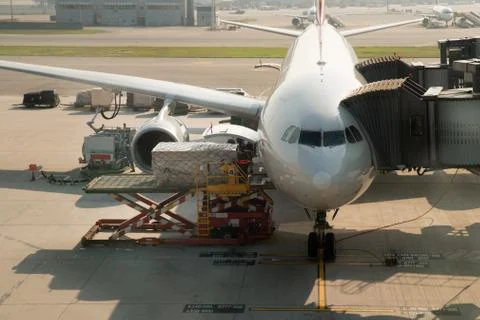 Loading cargo on plane in airport before flight. Stock Photos