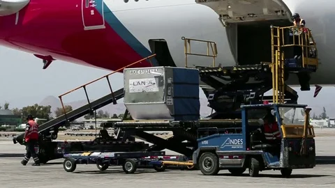 Loading cargo onto plane Stock Footage 77050849