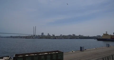 Loading cement from cars on the pier. Видео 89953397