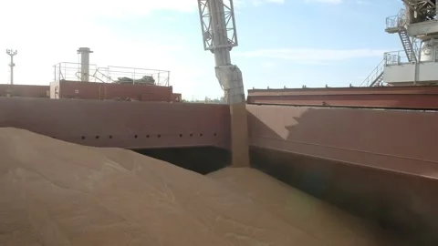 Loading of cereal in bulk into the cargo hold of cargo ship Video stock 140173473