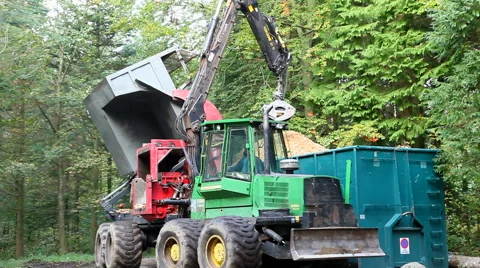 Loading off the chipped wood from the huge forestry machine Video stock 42671656