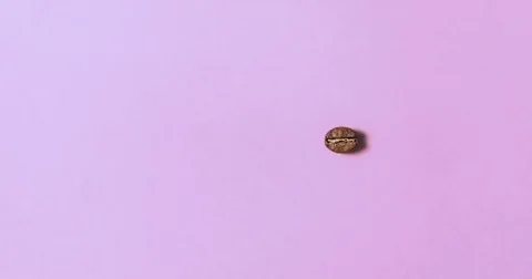 Loading with coffee bean in animation Stock-Footage 81164254