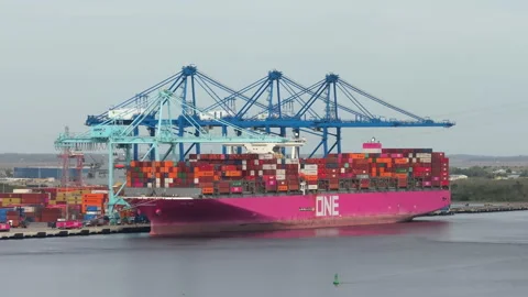 Loading container ship in port of Savannah, Georgia. Freight containers for Vídeo Stock 303929264