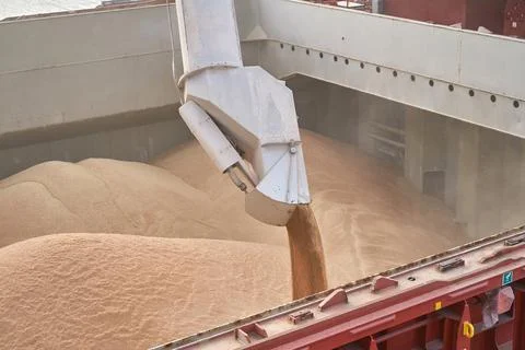 Loading corn onto a bulk carrier ship in the port at the grain terminal. Port Stock Photos