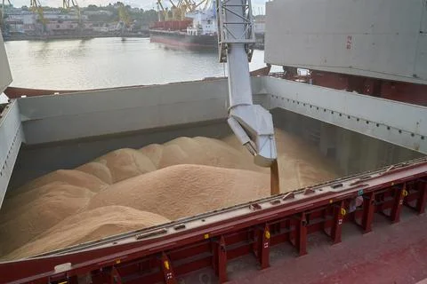 Loading corn onto a bulk carrier ship in the port at the grain terminal. Port Stock Photos